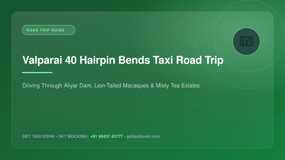 Valparai Road Trip: Navigating 40 Thrilling Hairpin Bends & Tea Estate Safaris
